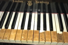 31